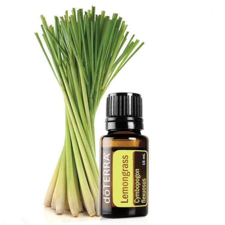 Leo Essencial Lemongrass Ml Doterra Gabriela Bigai