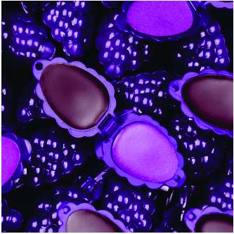 LIP BALM UVINHA DALLA